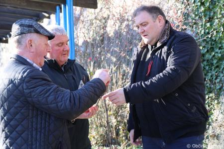 Rez kamniške potomke najstarejše vinske trte (14)